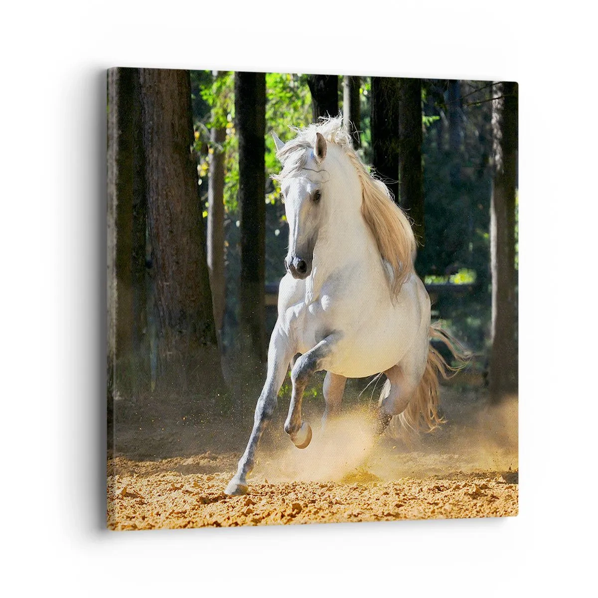 Cuadro sobre lienzo - Impresión de Imagen - Como en una novela de fantasía - 40x40 cm