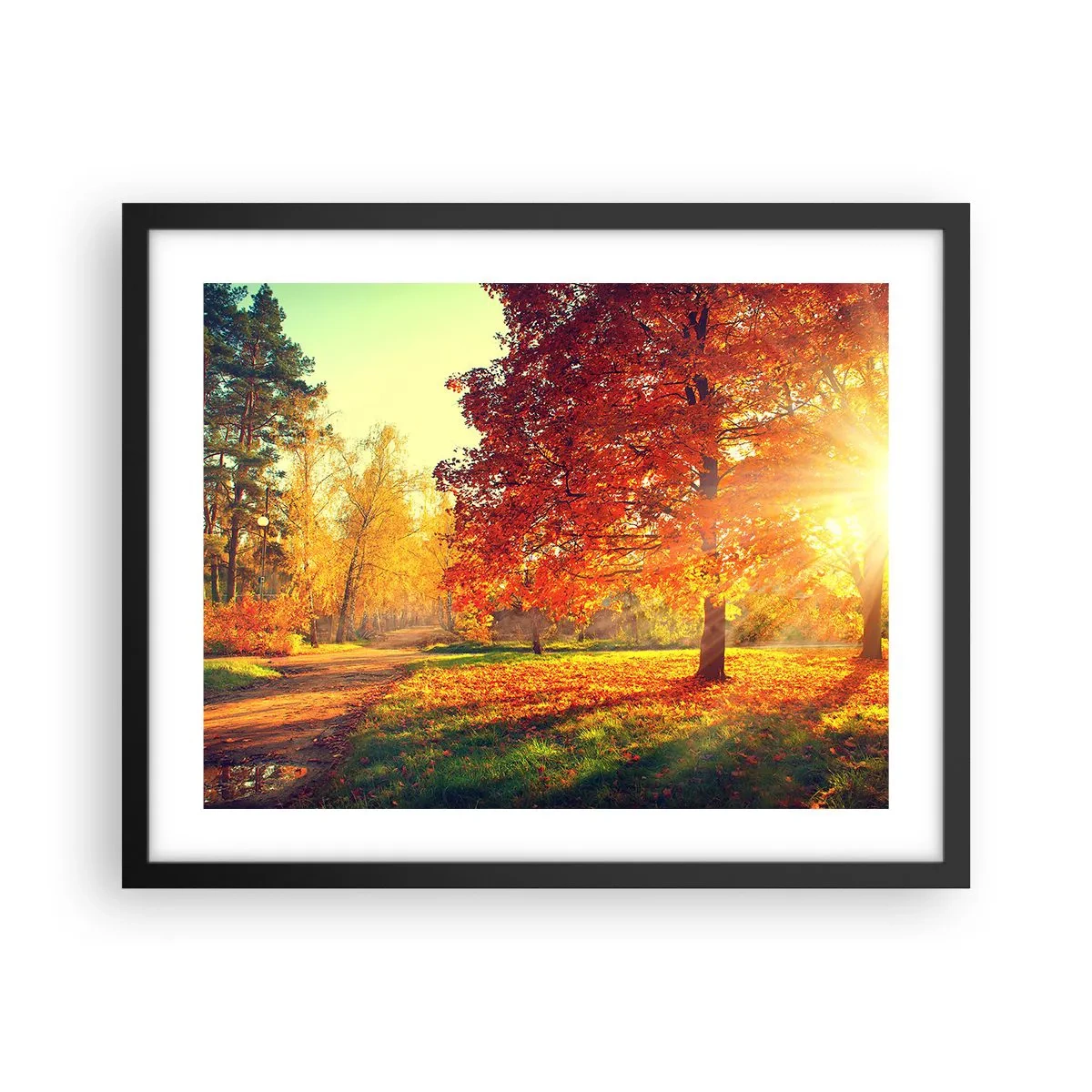 Póster en marco negro - El rojo es hermoso - 50x40 cm