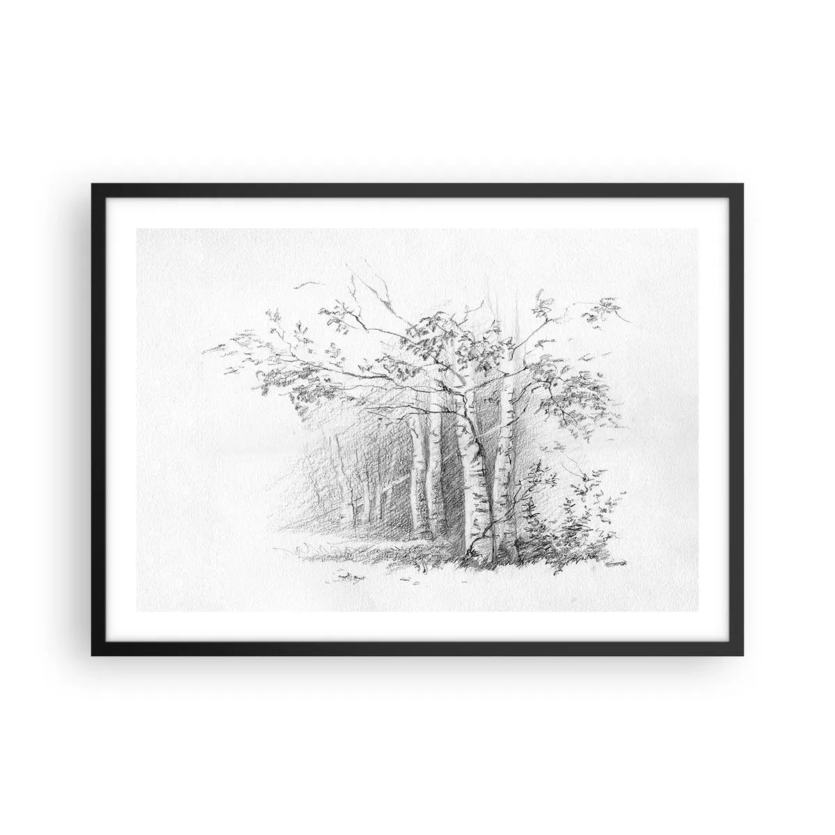 Póster en marco negro - Un dibujo de un bosque de abedules en un sutil boceto a lápiz. - 70x50cm - La luz de un bosque de abedules - Decoración de pared moderna para salón y dormitorio ARTTOR