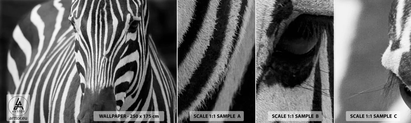 Muestra De Fotomural Standard Eco - El mundo es blanco y negro - animales, costillas, En blanco y negro - 100x30 cm