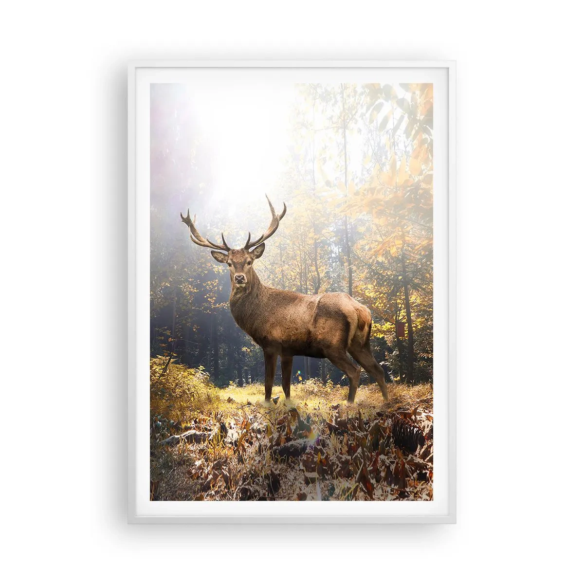 Póster en marco blanco - Con toda la majestuosidad - 70x100 cm