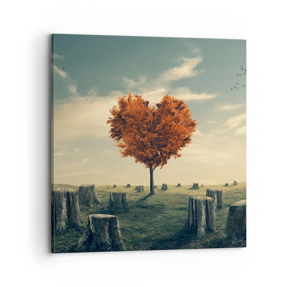 Cuadro sobre lienzo - Impresión de Imagen - Todavía hay esperanza - 70x70 cm