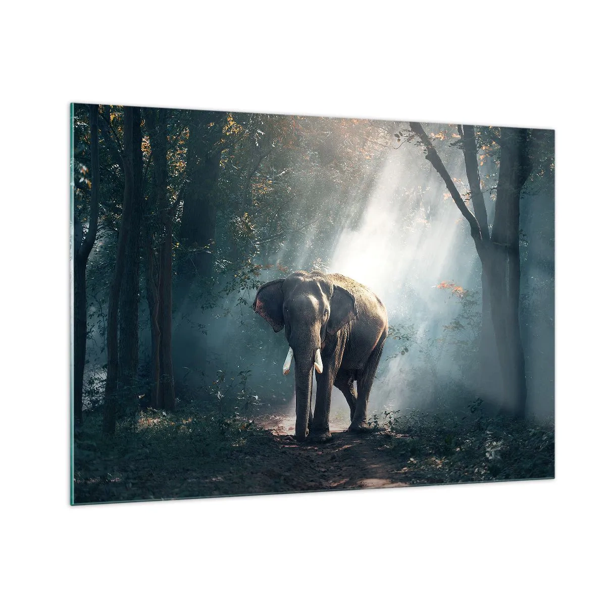 Cuadro sobre vidrio - Impresiones sobre Vidrio - Un elefante caminando por el bosque con la luz del sol filtrándose entre los árboles. - 100x70cm - Un paseo tranquilo - Decoración de pared moderna para salón y dormitorio ARTTOR
