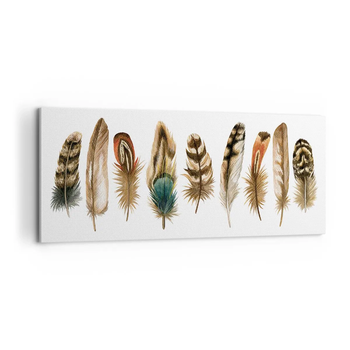 Cuadro sobre lienzo - Impresión de Imagen - Estudio de plumas - 100x40 cm