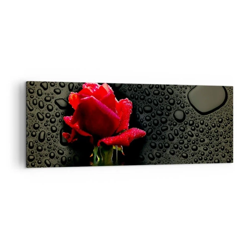 Cuadro sobre lienzo - Impresión de Imagen - Rosa roja con gotas de agua sobre un fondo oscuro - 140x50cm - Rojo y negro - Decoración de pared moderna para salón y dormitorio ARTTOR
