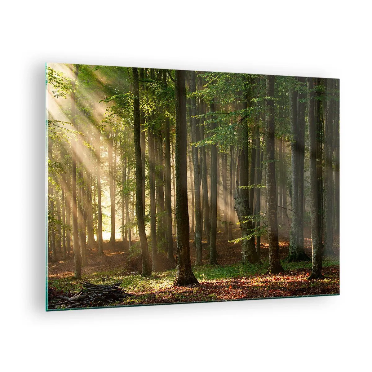 Cuadro sobre vidrio - Impresiones sobre Vidrio - Los rayos del sol brillan a través de los árboles del bosque. - 70x50cm - Radiante en una mañana de primavera - Decoración de pared moderna para salón y dormitorio ARTTOR