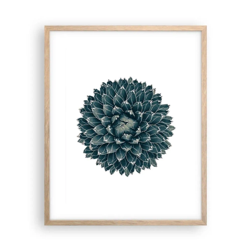 Póster en marco roble claro - Estrella del desierto - 40x50 cm