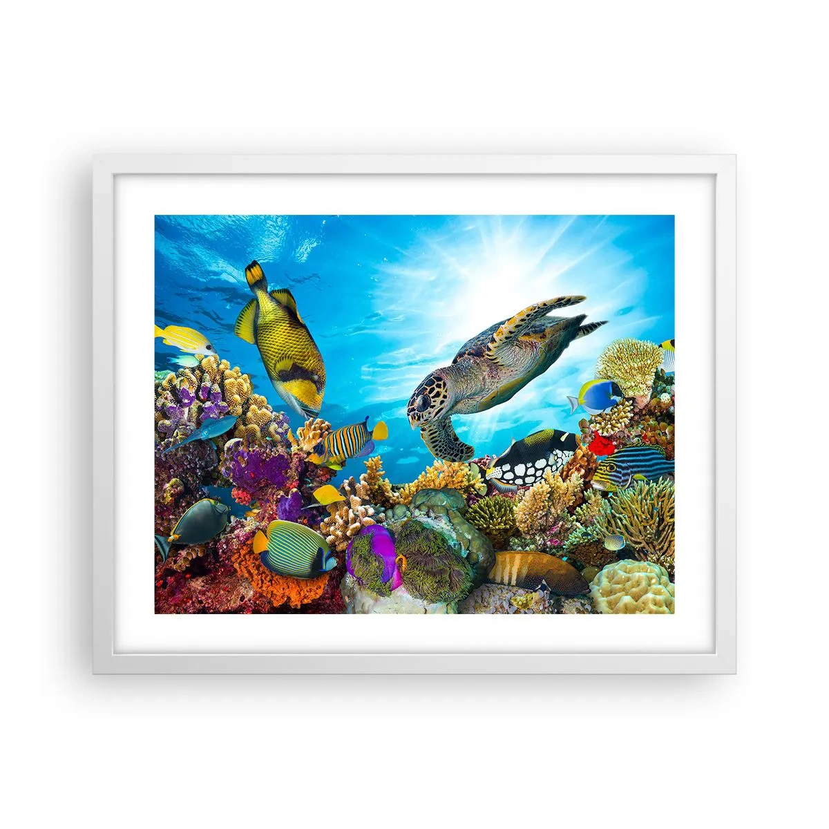 Póster en marco blanco - Paseo del coral - 50x40 cm