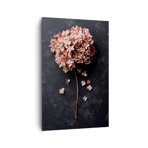 Cuadro sobre lienzo - Impresión de Imagen - Una delicada flor de hortensia sobre un fondo oscuro. - 80x120cm - Un signo verdaderamente romántico - Decoración de pared moderna para salón y dormitorio ARTTOR