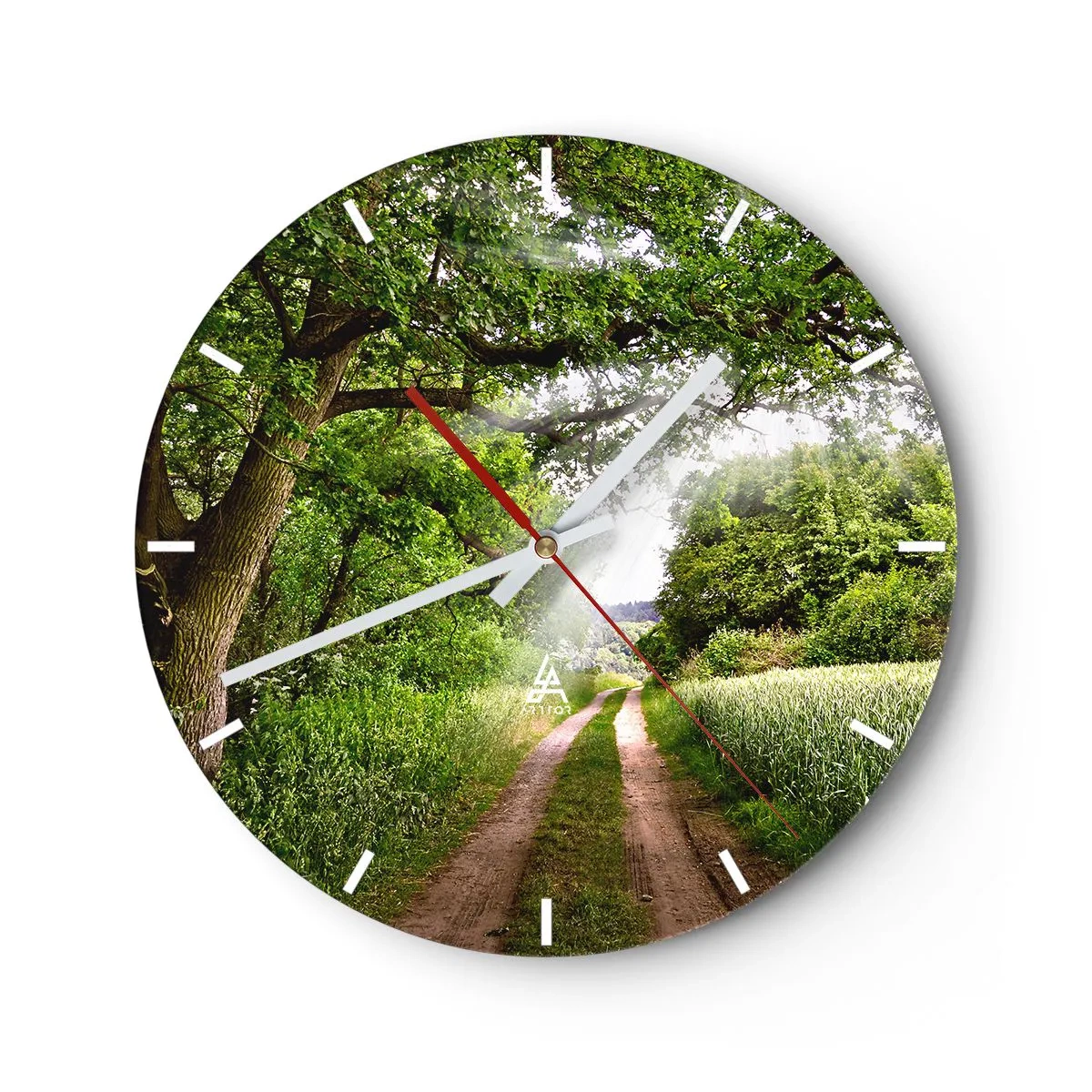 Reloj de pared - Reloj de vidrio - Un camino forestal entre árboles verdes y campos en un día soleado. - 30x30cm - Ensueño - Decoración de pared moderna para salón, cocina y dormitorio ARTTOR