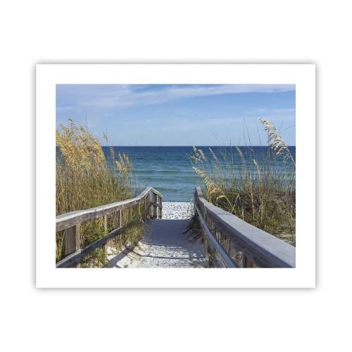 Póster - En el sol, en el viento - 50x40 cm