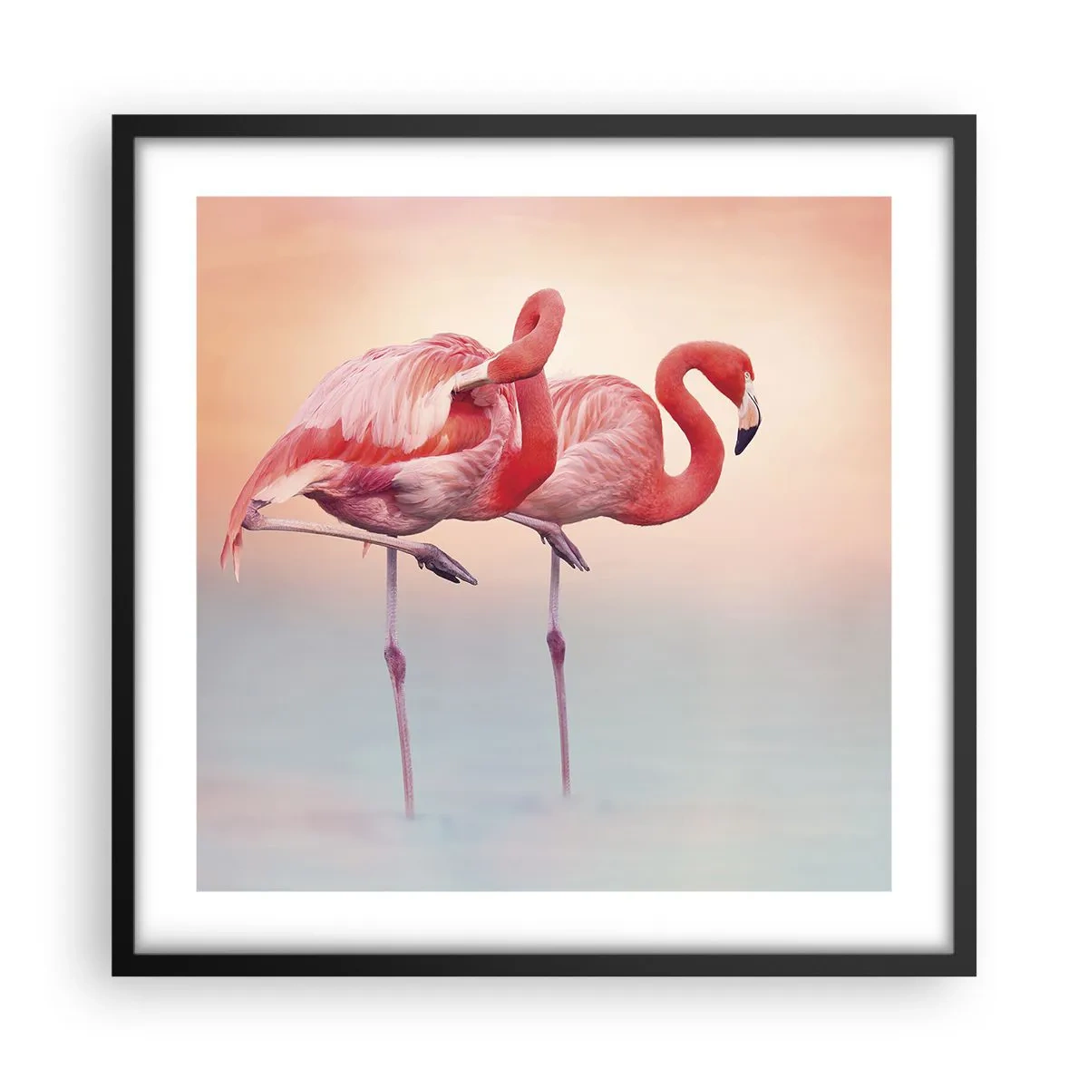 Póster en marco negro - Elegancia bajo el sol de poniente - 50x50 cm