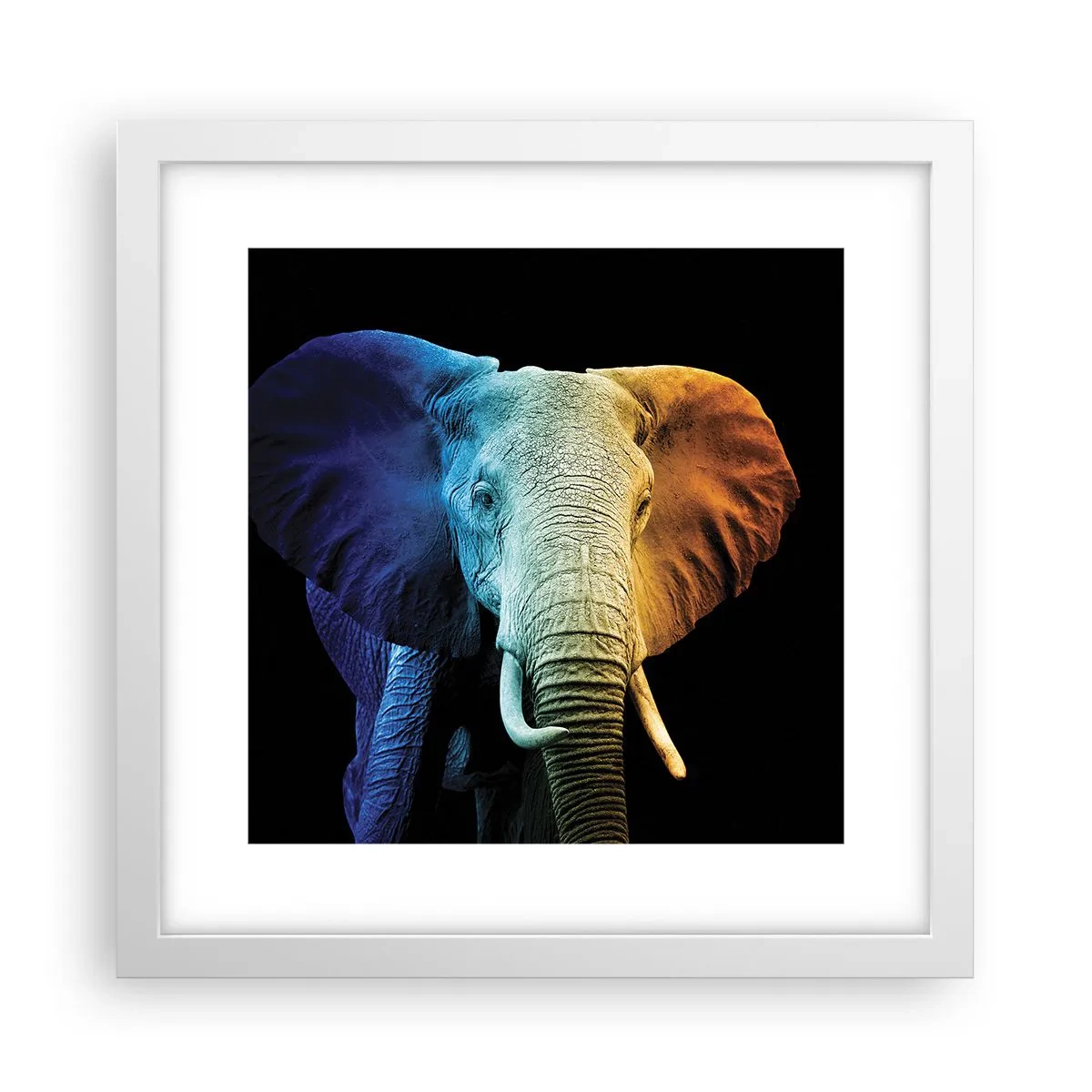 Póster en marco blanco - Excéntrico, no un bicho raro - 30x30 cm