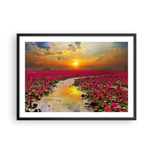 Póster en marco negro - Un campo de nenúfares rosados al atardecer. - 70x50cm - La vida secreta del lago - Decoración de pared moderna para salón y dormitorio ARTTOR