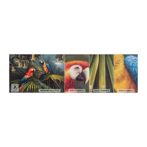Muestra de fotomural Premium Canvas - Romanticismo en los trópicos - loro ara, animales, Bosque tropical - 100x30 cm