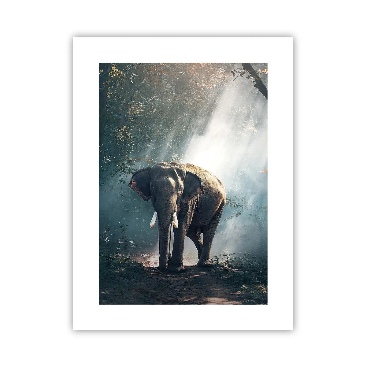 Póster - Un paseo tranquilo - 30x40 cm