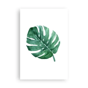 Póster - Concepto verde - 61x91 cm