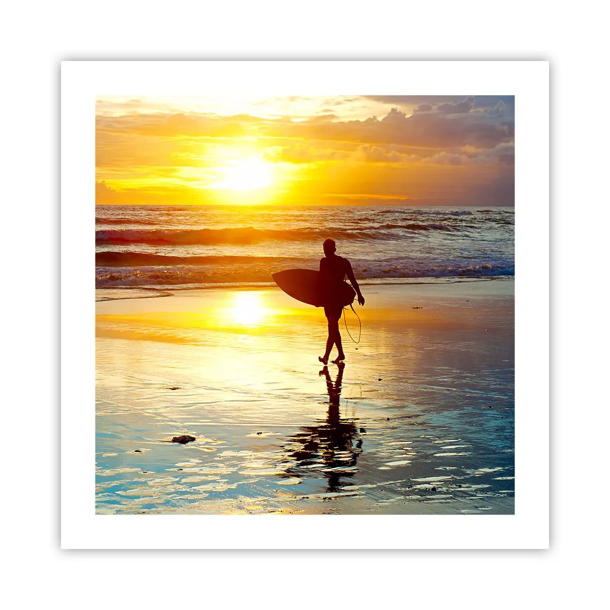 Póster - El regreso del guerrero - 50x50 cm