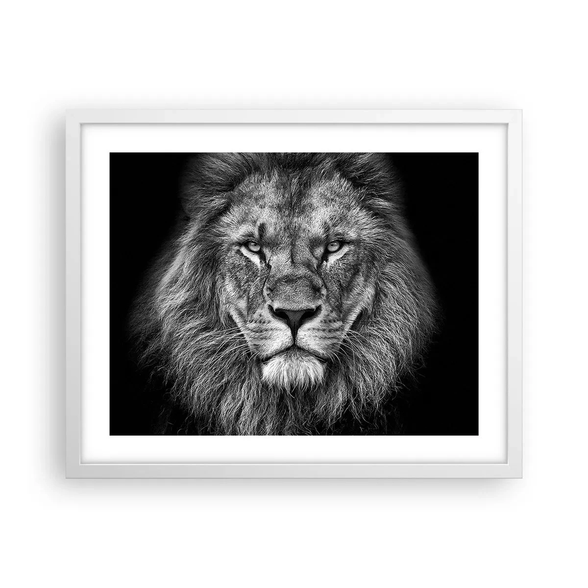 Póster en marco blanco - Con el atuendo de la coronación - 50x40 cm