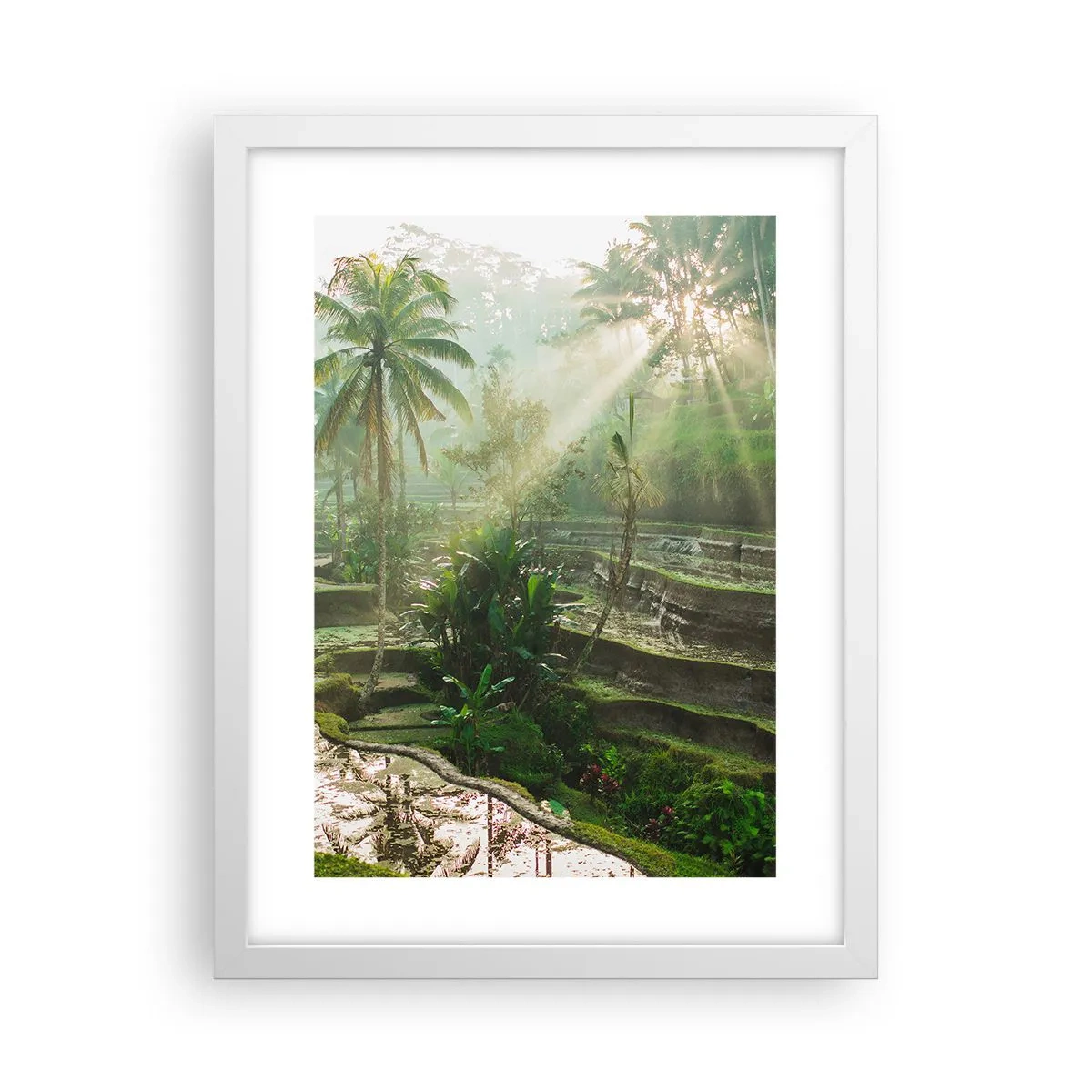 Póster en marco blanco - Crecer bajo el sol - 30x40 cm