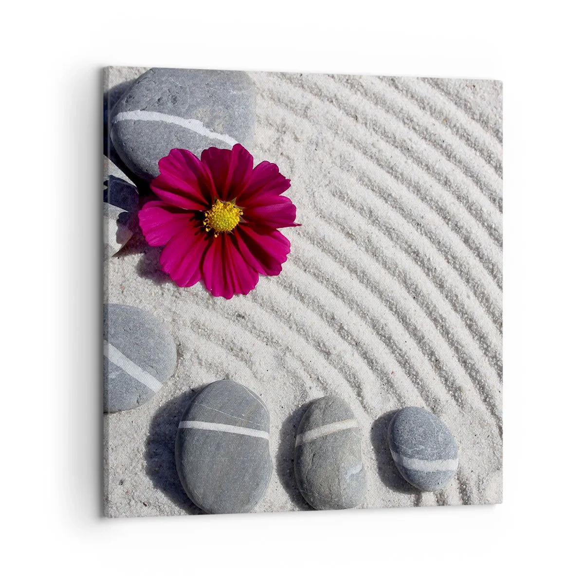 Cuadro sobre lienzo - Impresión de Imagen - Energía y paz del círculo mágico de la naturaleza - 50x50 cm