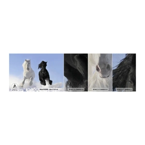 Muestra de fotomural Premium Sand - Galope blanco y negro - animales, Caballo, Invierno - 100x30 cm
