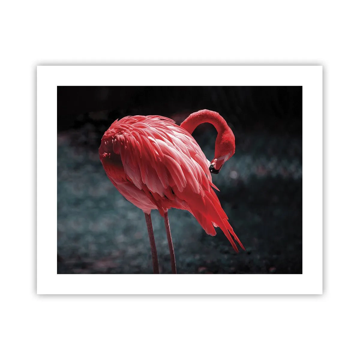 Póster - Un poema carmesí de la naturaleza - 50x40 cm