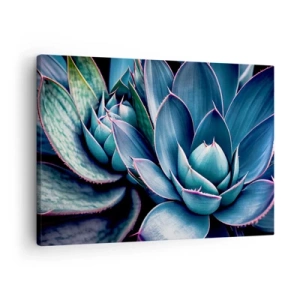 Cuadro sobre lienzo - Impresión de Imagen - Agave en tonos azules y verdes con acentos rosados. - 70x50cm - Fuerza vital - Decoración de pared moderna para salón y dormitorio ARTTOR