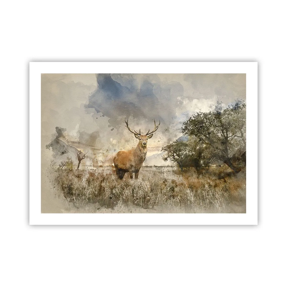 Póster - Dignidad - fuerza - encanto - 70x50 cm