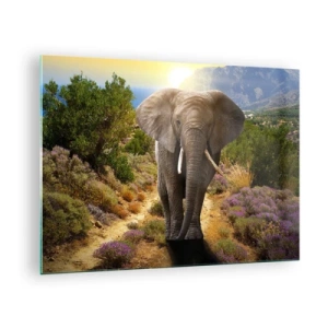 Cuadro sobre vidrio - Impresiones sobre Vidrio - Un elefante frente a un paisaje montañoso al atardecer. - 70x50cm - Este es el aspecto del Edén - Decoración de pared moderna para salón y dormitorio ARTTOR