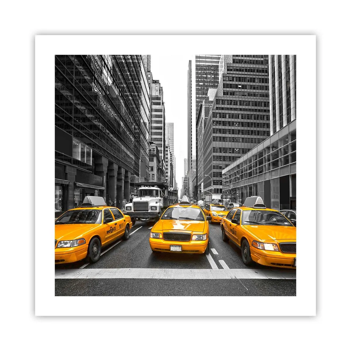 Póster - Nosotros somos los que damos color a la ciudad - 50x50 cm