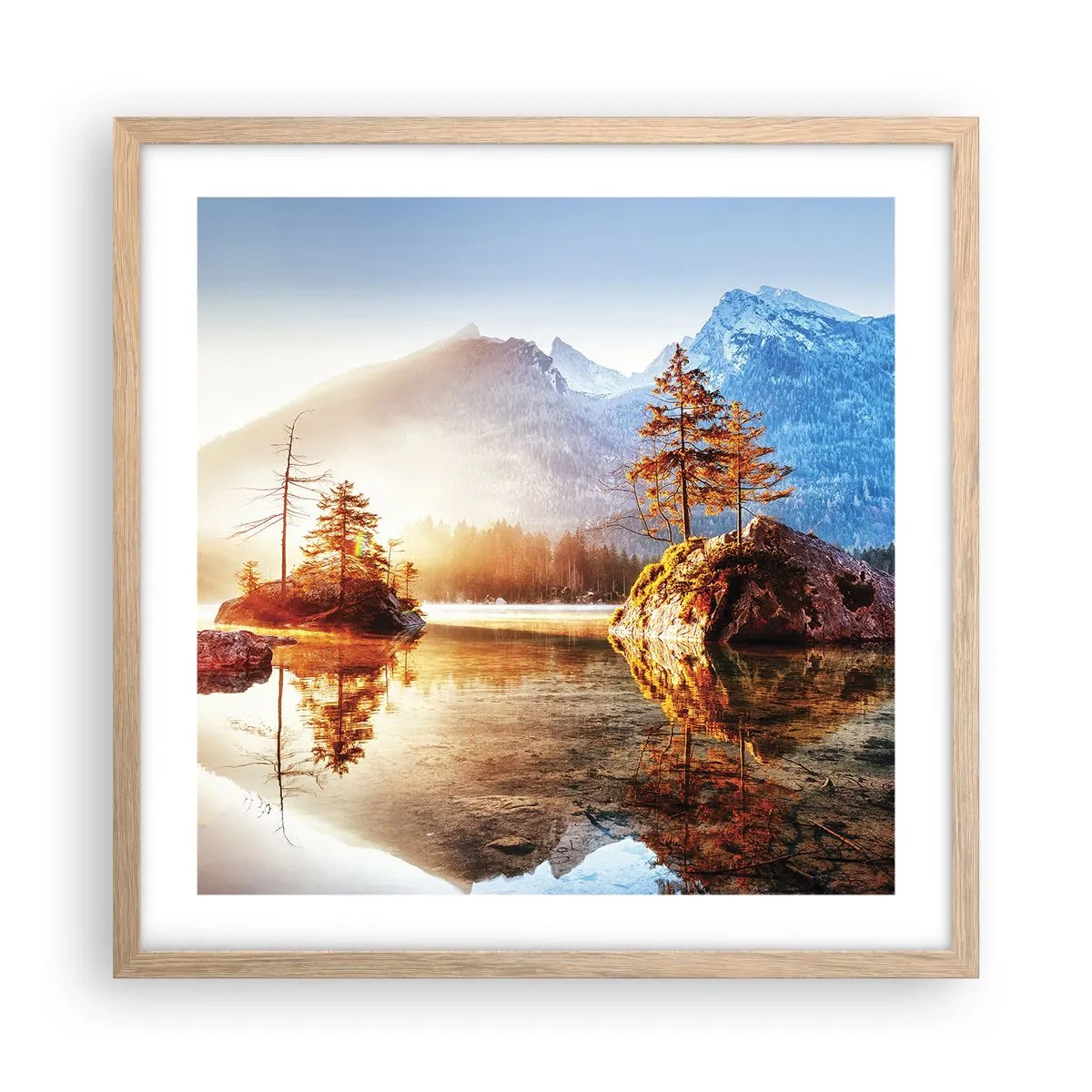 Póster en marco roble claro - La naturaleza bajo la luz - 50x50 cm