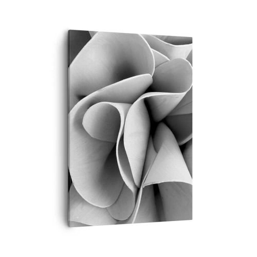 Cuadro sobre lienzo - Impresión de Imagen - Detalles en blanco y negro de formas abstractas. - 50x70cm - Sucede en el espacio - Decoración de pared moderna para salón y dormitorio ARTTOR