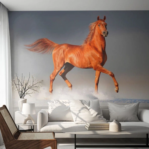Fotomural Premium Sand - Un caballo castaño al galope contra un paisaje invernal. - 100x70cm - Danza al viento - Decoración de pared moderna para salón y dormitorio ARTTOR