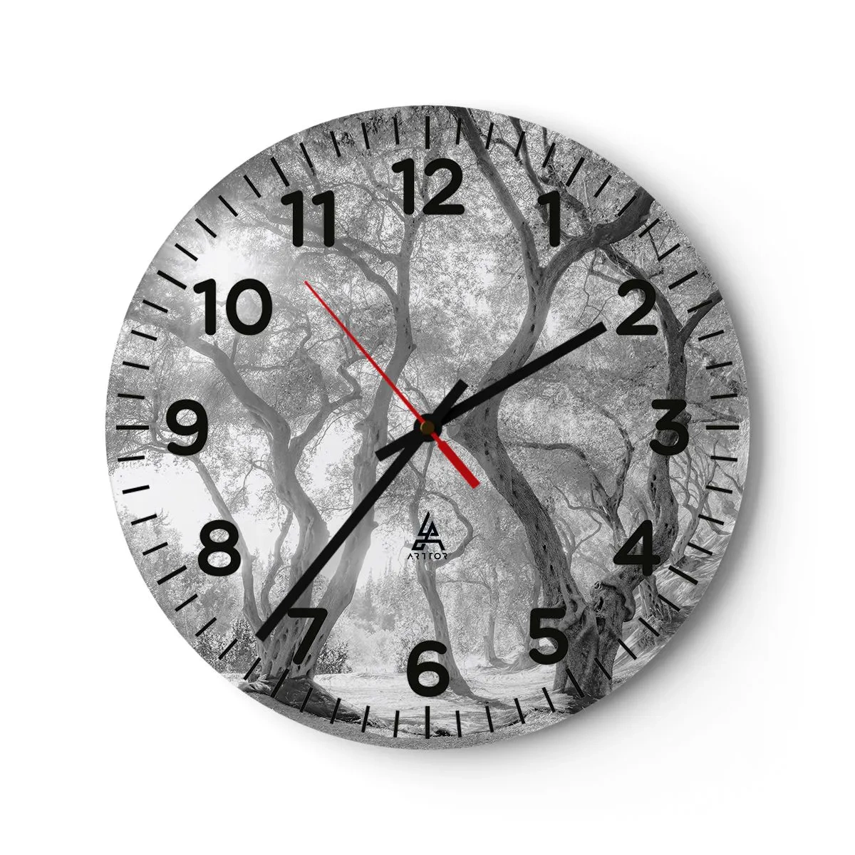 Reloj de pared - Reloj de vidrio - En un olivar - 30x30 cm