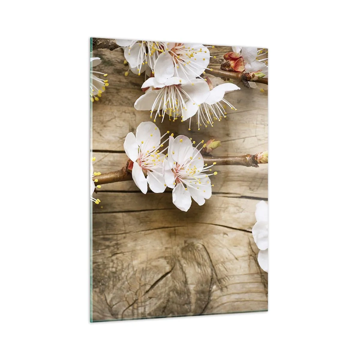 Cuadro sobre vidrio - Impresiones sobre Vidrio - Ramas de cerezos en flor sobre un fondo de madera - 50x70cm - Se acerca la primavera - Decoración de pared moderna para salón y dormitorio ARTTOR