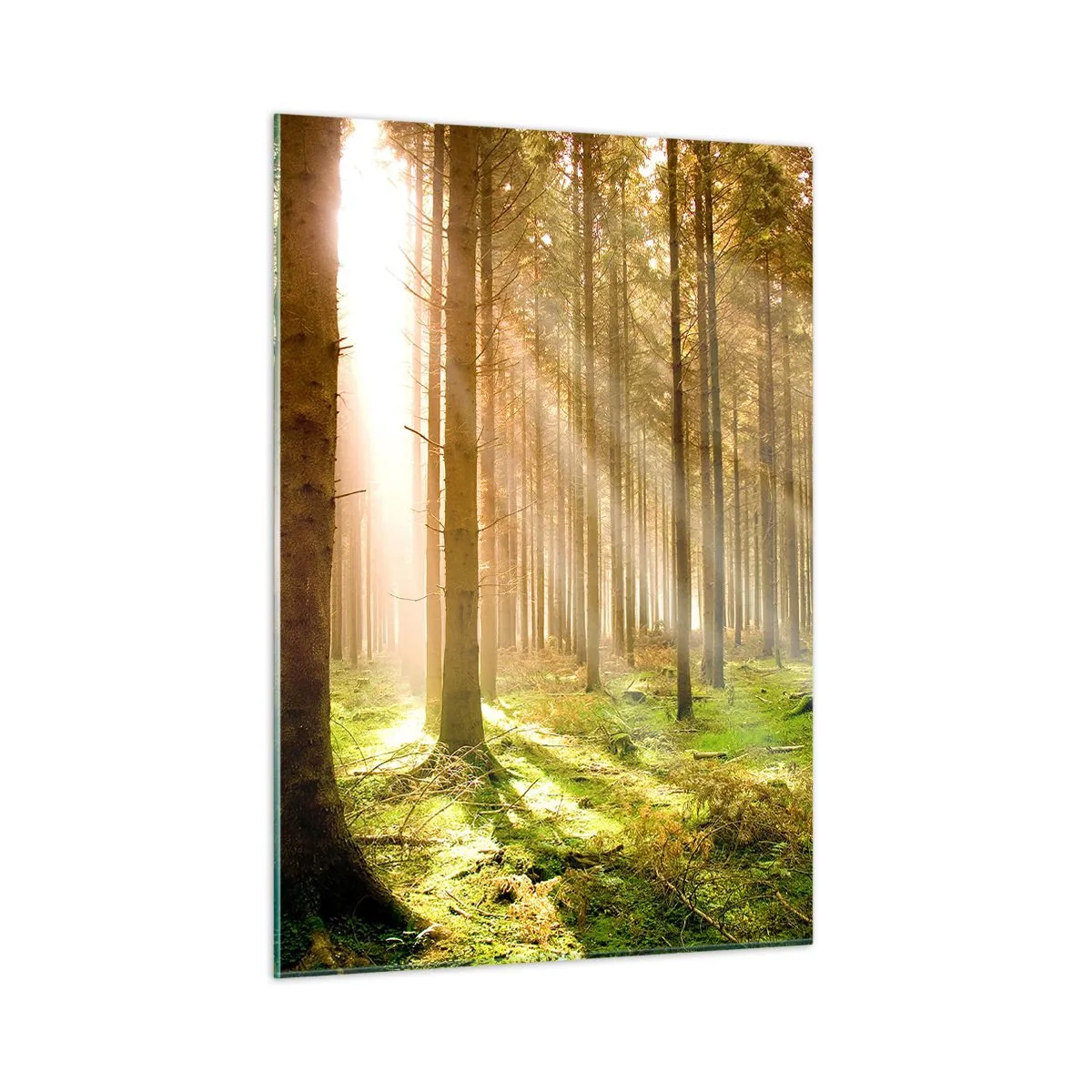 Cuadro sobre vidrio - Impresiones sobre Vidrio - Los rayos del sol penetran a través de los árboles en el bosque. - 50x70cm - Los elfos se aproximan - Decoración de pared moderna para salón y dormitorio ARTTOR