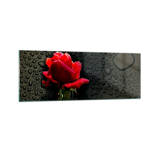 Cuadro sobre vidrio - Impresiones sobre Vidrio - Rosa roja con gotas de agua sobre un fondo oscuro - 140x50cm - Rojo y negro - Decoración de pared moderna para salón y dormitorio ARTTOR