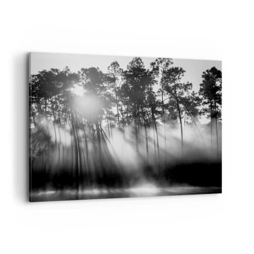 Cuadro sobre lienzo - Impresión de Imagen - Bosque blanco y negro en la niebla de la mañana. - 100x70cm - Sol imparable - Decoración de pared moderna para salón y dormitorio ARTTOR