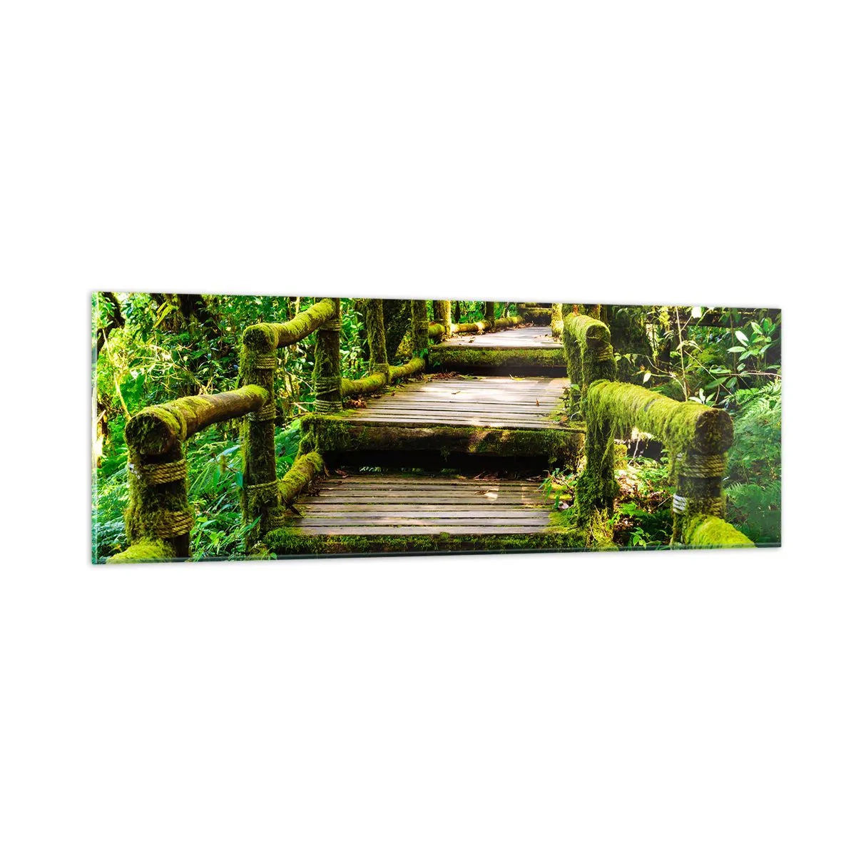 Cuadro sobre vidrio - Impresiones sobre Vidrio - A través de un corredor verde - 90x30 cm