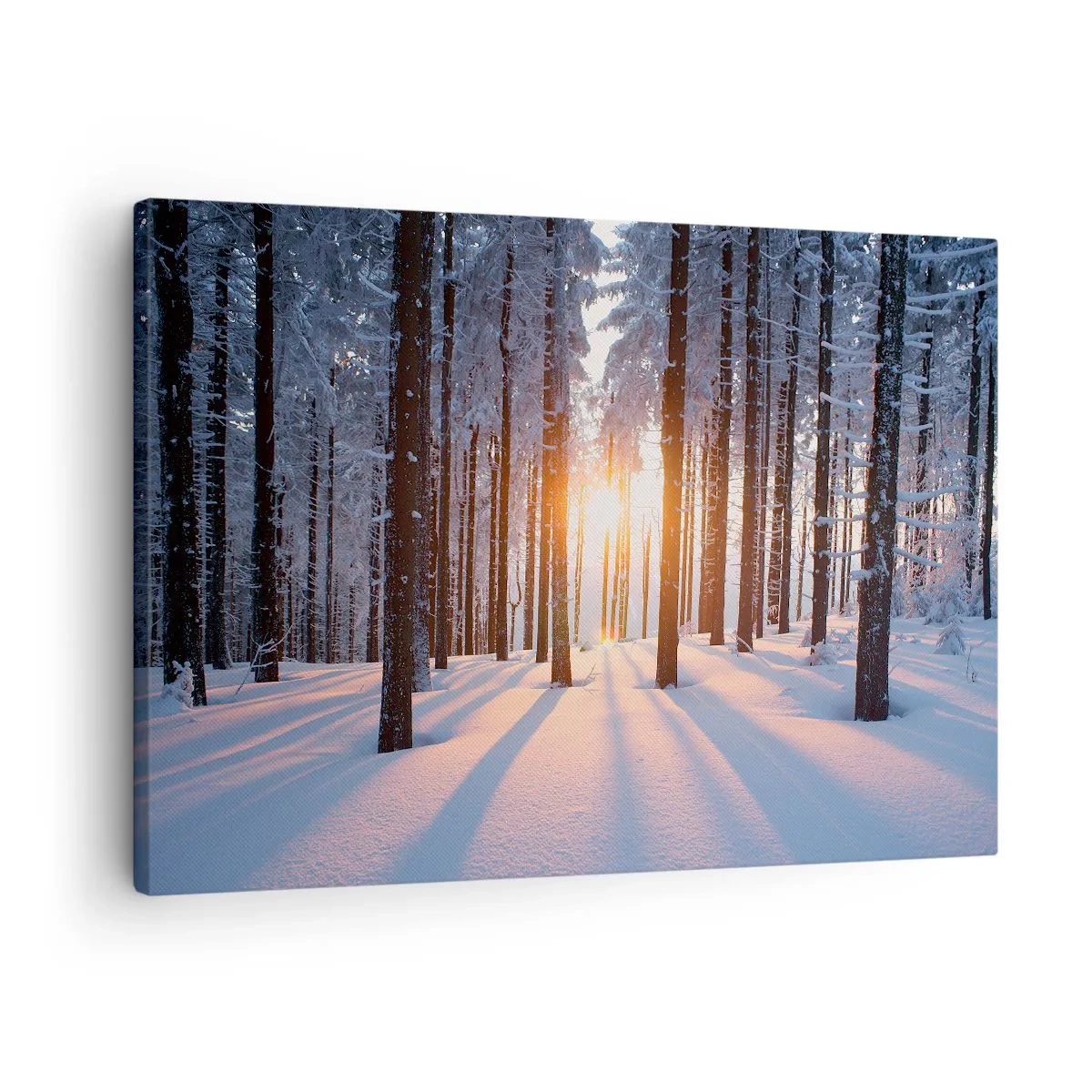 Cuadro sobre lienzo - Impresión de Imagen - Bosque invernal iluminado por los rayos del sol. - 70x50cm - Claramente en blanco y negro - Decoración de pared moderna para salón y dormitorio ARTTOR