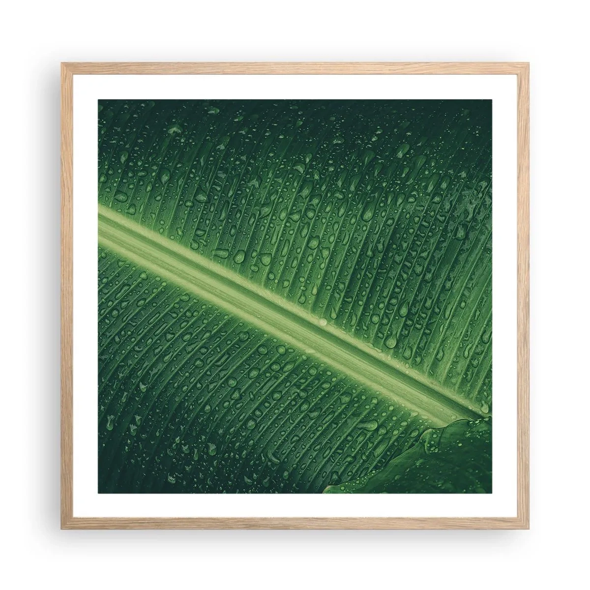 Póster en marco roble claro - Estructura del verde - 60x60 cm