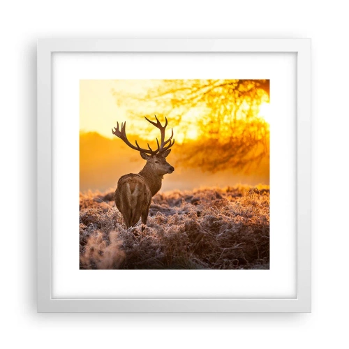 Póster en marco blanco - Rey del bosque de otoño - 30x30 cm