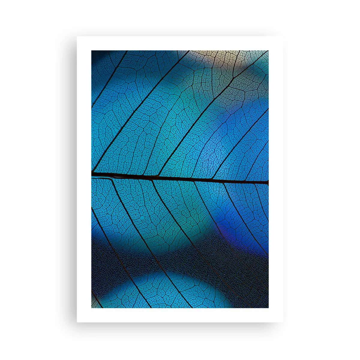 Póster - Primer plano de una hoja azul con venas prominentes - 50x70cm - Construcción intrincada - Decoración de pared moderna para salón y dormitorio ARTTOR
