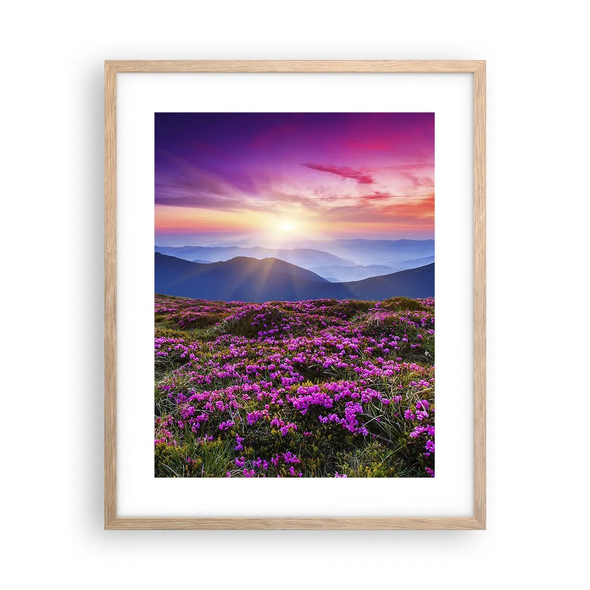 Póster en marco roble claro - Dulce aroma a frescura - 40x50 cm