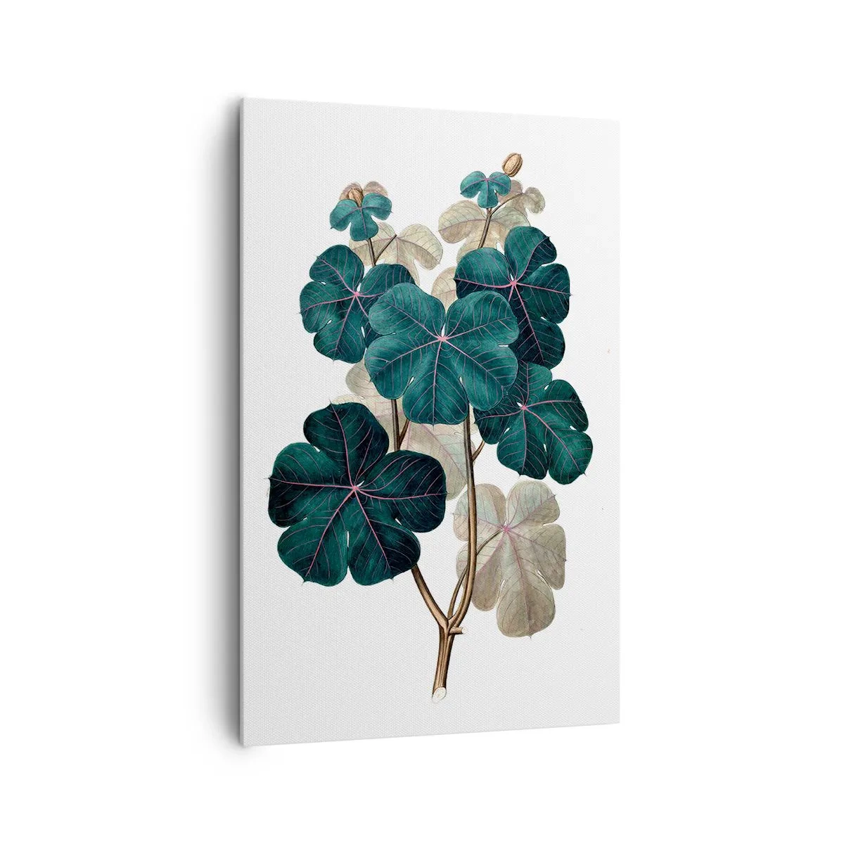 Cuadro sobre lienzo - Impresión de Imagen - Ilustración botánica con hojas en tonos verdes y beige. - 80x120cm - De un viejo herbario - Decoración de pared moderna para salón y dormitorio ARTTOR