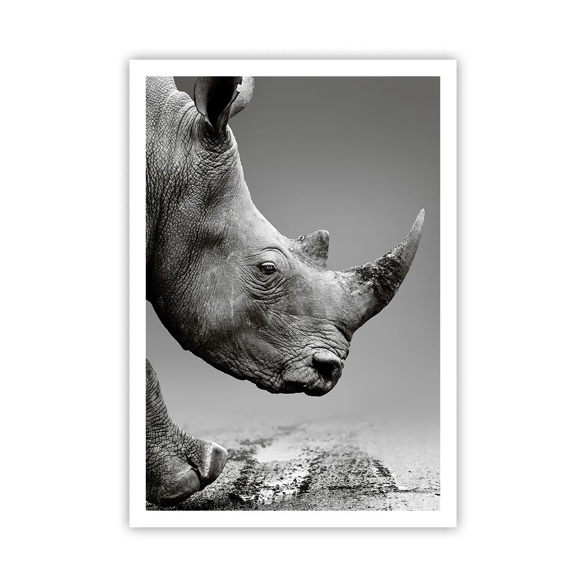 Póster - Fuerza imparable - 70x100 cm