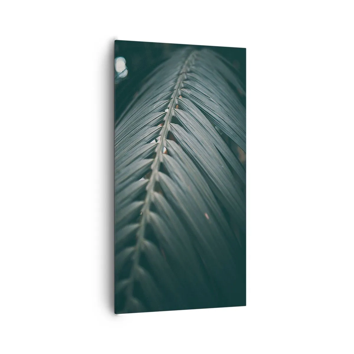 Cuadro sobre lienzo - Impresión de Imagen - La precisión de la naturaleza - 65x120 cm