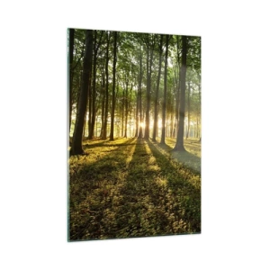 Cuadro sobre vidrio - Impresiones sobre Vidrio - Un claro del bosque iluminado por los rayos del sol naciente. - 50x70cm - Una fotografía de todos los manantiales - Decoración de pared moderna para salón y dormitorio ARTTOR