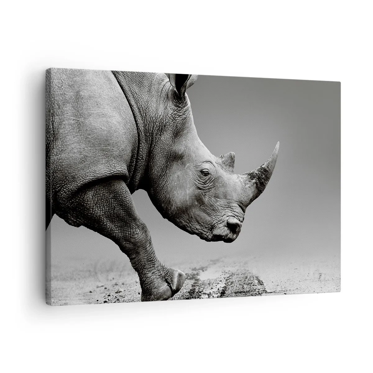 Cuadro sobre lienzo - Impresión de Imagen - Retrato de un rinoceronte con el telón de fondo de un desierto gris. - 70x50cm - Fuerza imparable - Decoración de pared moderna para salón y dormitorio ARTTOR